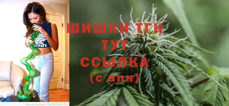 Бошки марихуана THC 21%  Скопин 